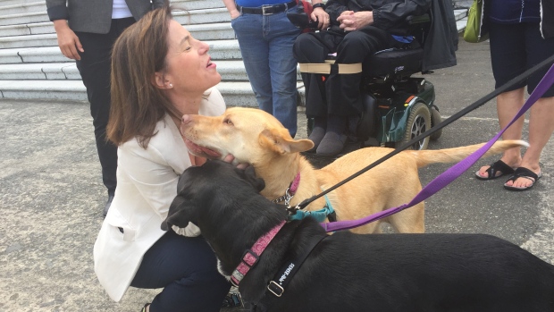 NDP MLA Selina Robinson gets some kisses from some furry friends after introducing the Distressed Animal Act. (Richard Zussman/CBC News)